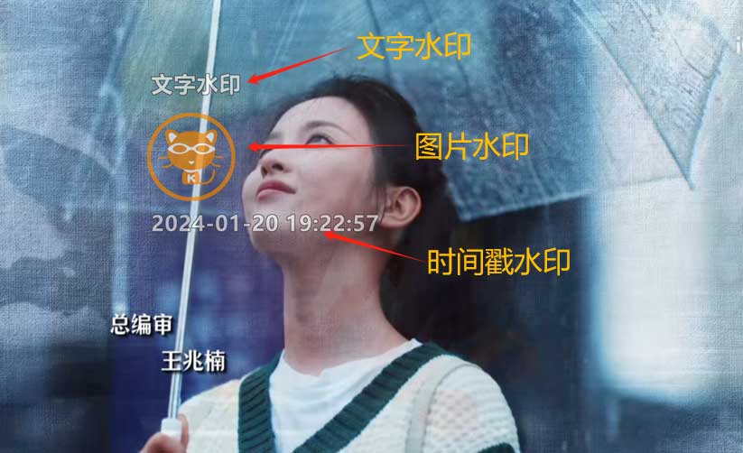 水印预览效果